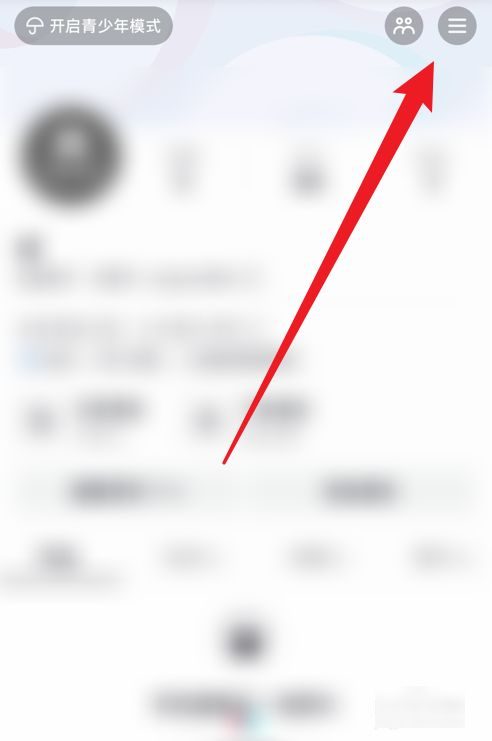 ����������ô����ʾip��ַ