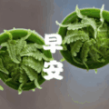 簲 logo
