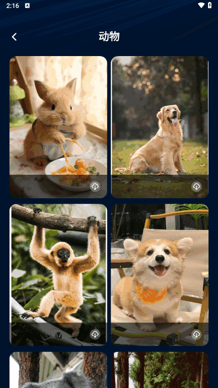 appͼ3