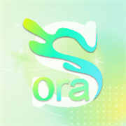 SoraiƵ༭