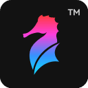 ֤ logo