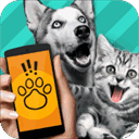Pet logo