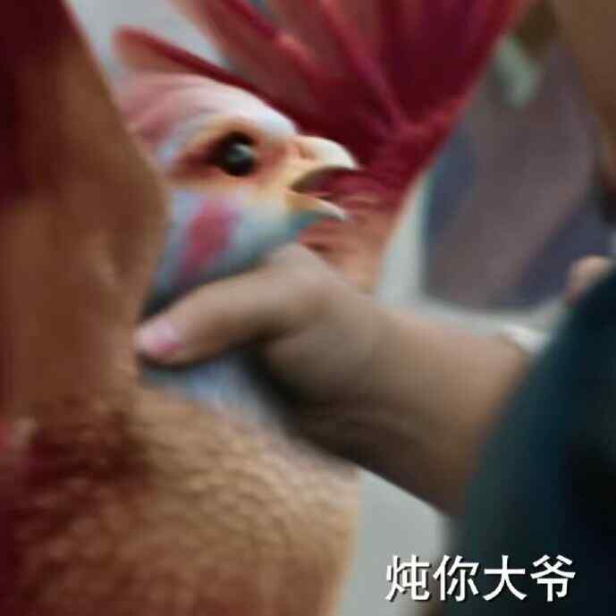 С˱ֻؽͼ2