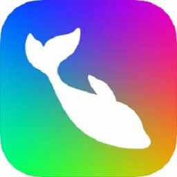 flow logo