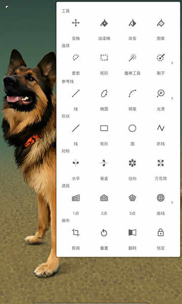 painter׿ͼ3