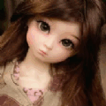 dollֽٷapp logo