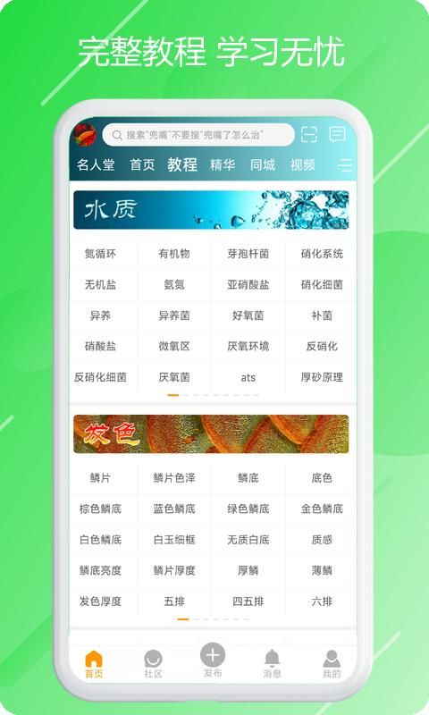 ͼ1