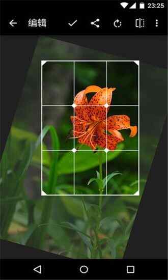 ͼͼ4
