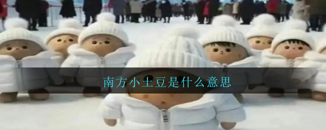 ϷСĸ˼