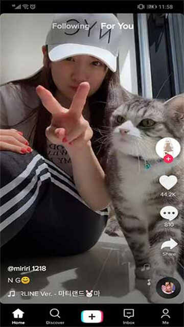 ʰֻͼ3