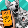 pet logo