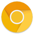 Chrome logo