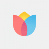 С logo