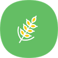 ϰ汾 logo