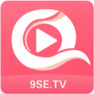 9set logo