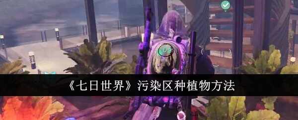 Ⱦֲ
