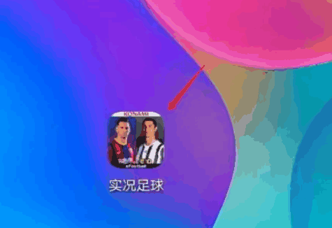 ʵ2024