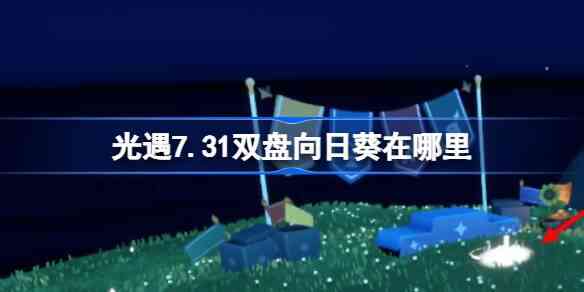 7.31˫տĸλ