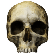 3֮ս logo