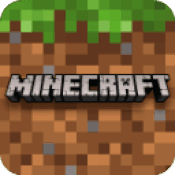 minecraft2024°