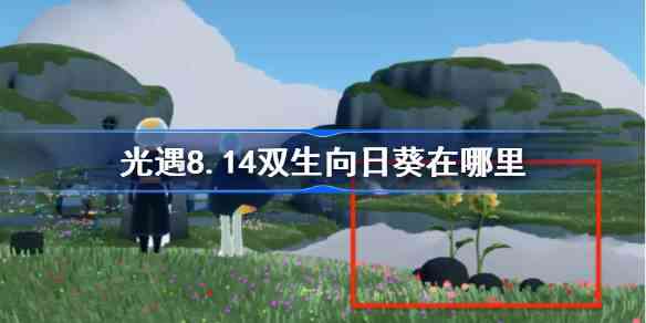 8.14˫տλ