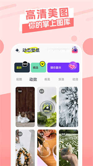 appֻͼ4