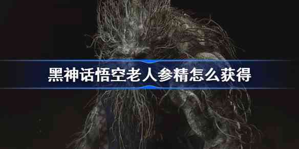˲ξô