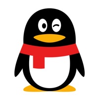 qqֻ2024 logo