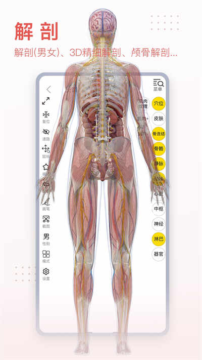 3Dbodyappͼ2
