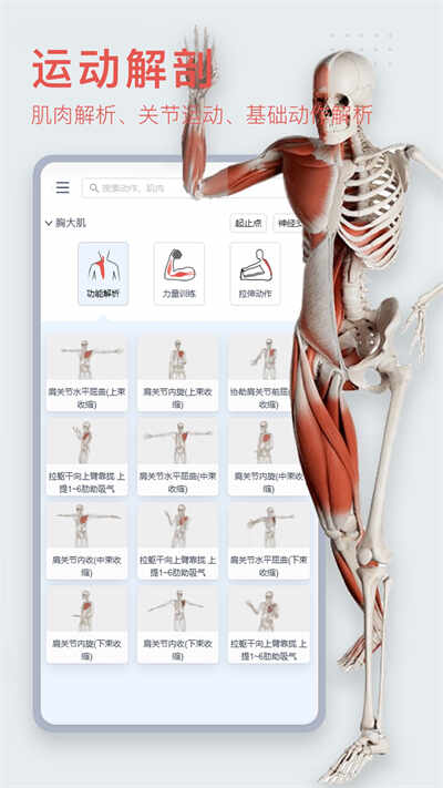 3Dbodyappͼ5