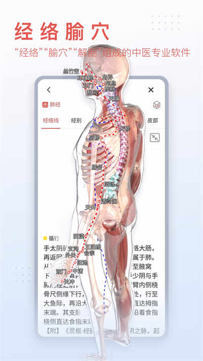 3Dbodyappͼ3