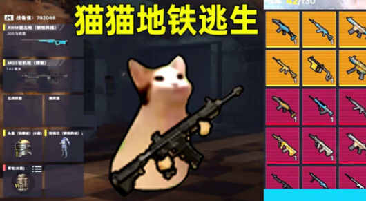 猫猫地铁逃生截图2