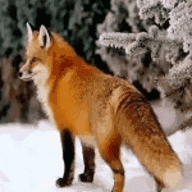 ����Ӱ��T