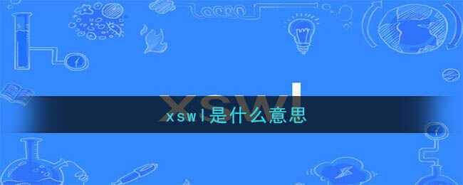 xswlʲô˼
