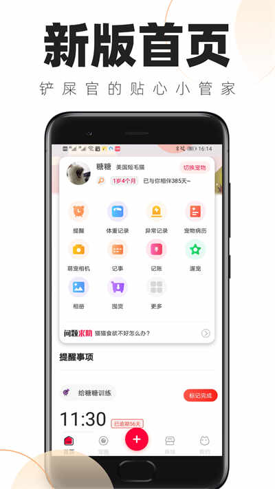 ʺٵճappͼ3