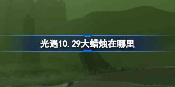 10.29