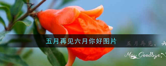 ټͼƬ