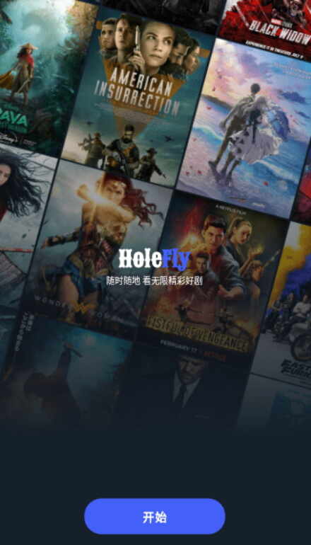 Holeflyͼ1
