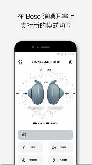Bose°ͼ1