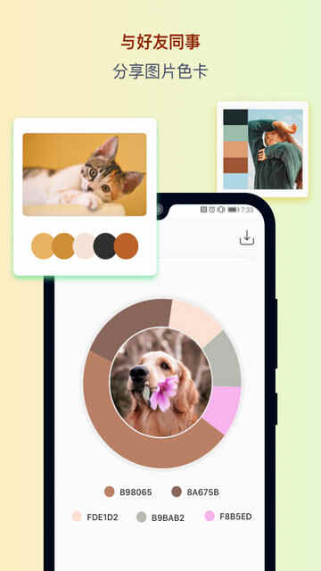 ɫ��APP�ֻ����ͼ3
