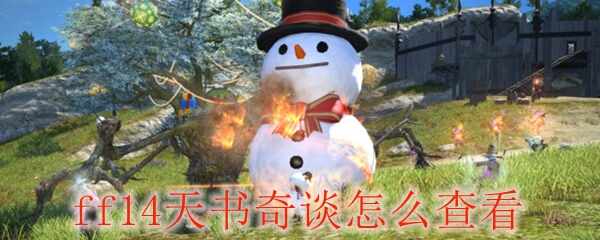 ff14̸β鿴