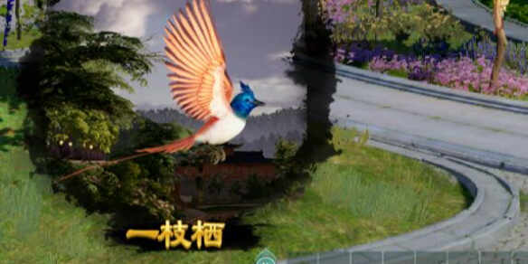 3һ֦ܳϸָ̽