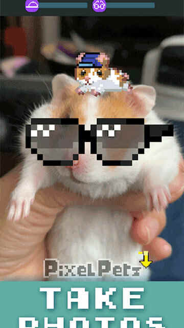 ȳֻͼ1