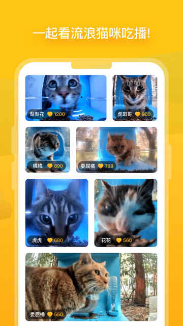 èAPP°ͼ3