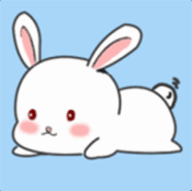 APPѰ