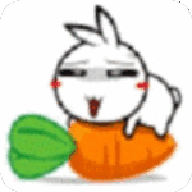 ȤС˵