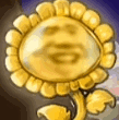 ֲսʬikun