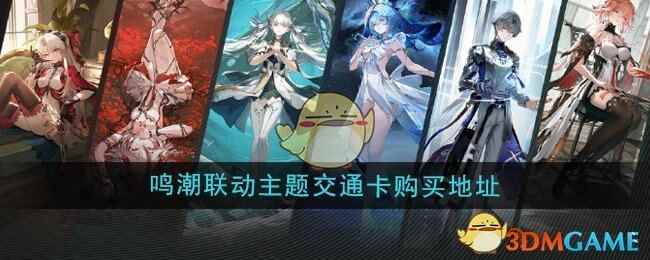 ⽻ַͨ