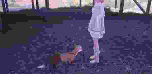 ůůëŻȡ