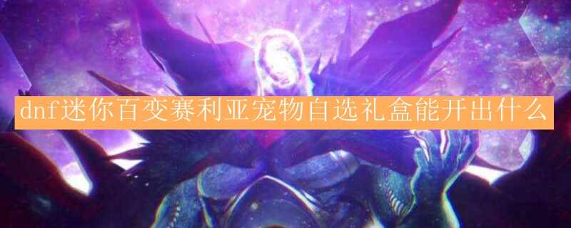 dnfٱǳѡܿʲô